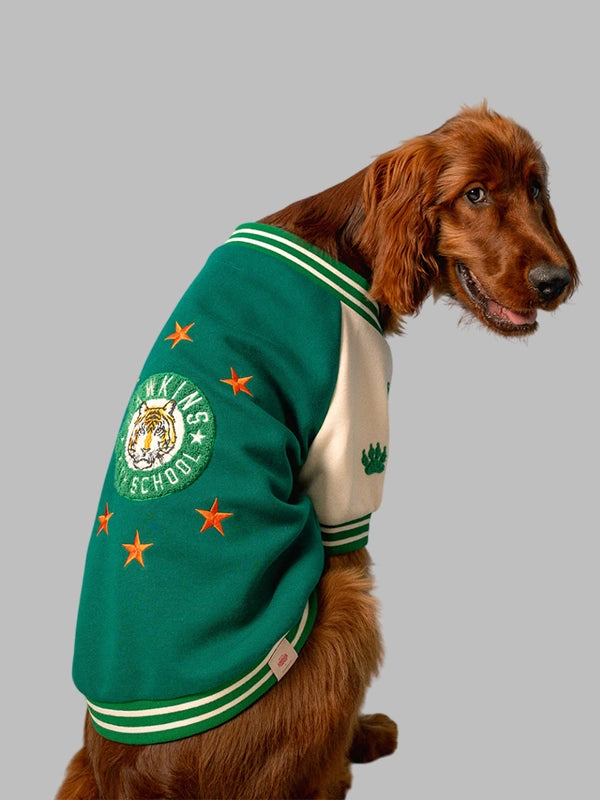 Stranger Things with the Stranger Things x Maxbone Hawkins High bomber jacket